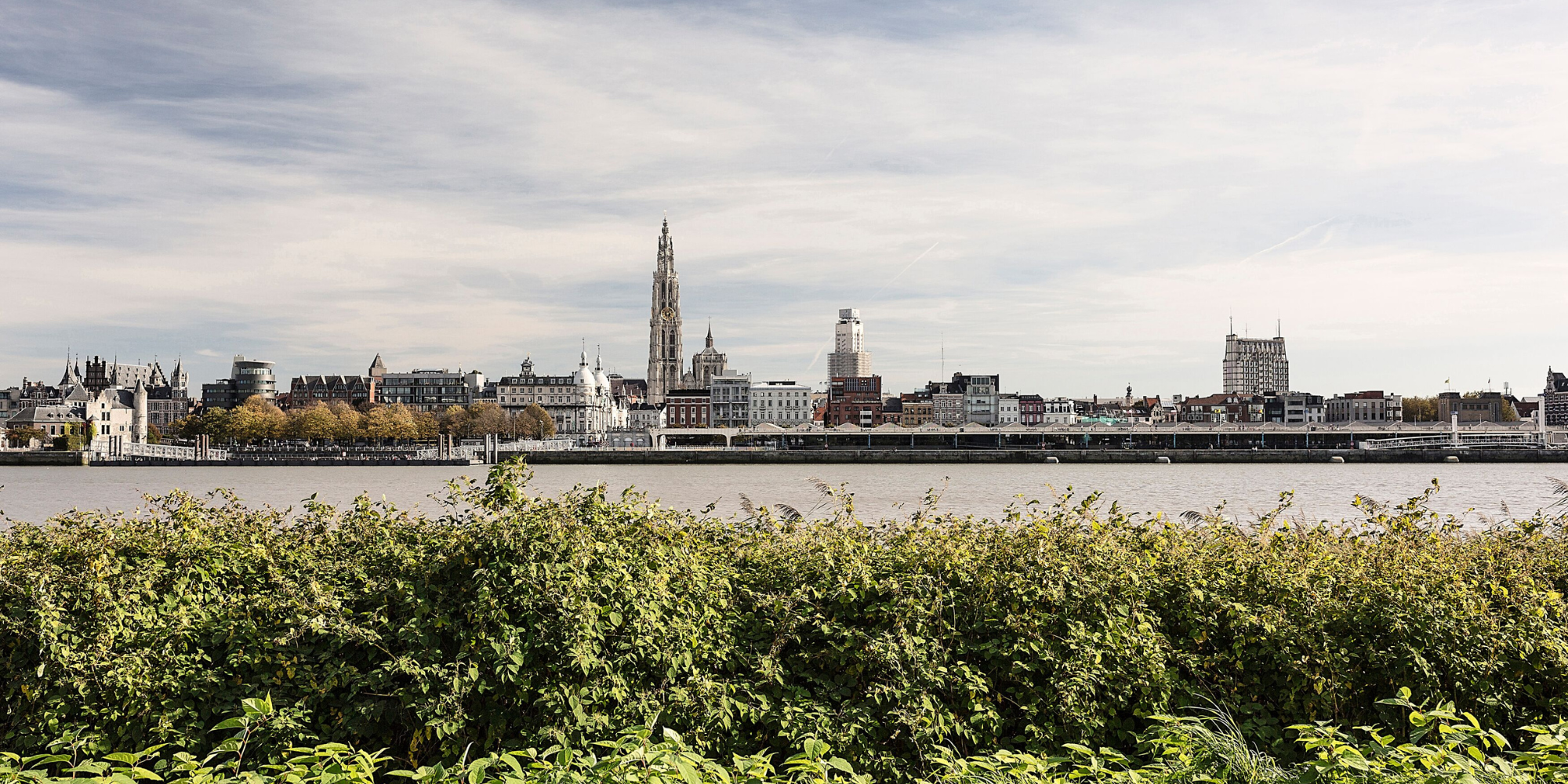 Skyline van Antwerpen rechteroever Skyline van Antwerpen rechteroever